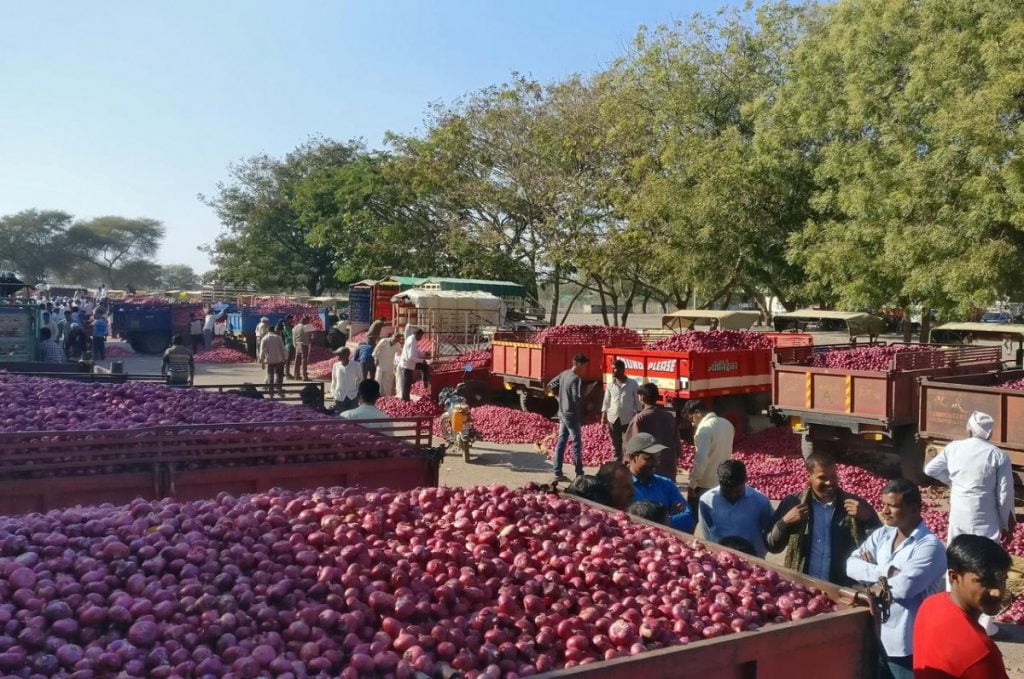 Onion stock load