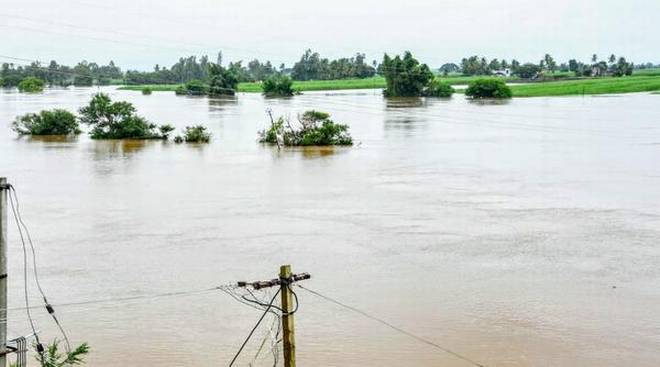 கர்நாடகாவில் மழையா‌ல் பலியானோர் எண்ணிக்கை 13 ஆக உயர்ந்துள்ளது!! 7