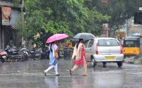 டெல்டா மாவட்டங்களில் கனமழை பெய்ய வாய்ப்பு உள்ளதாக வானிலை ஆய்வு மையம் தகவல்!! 9
