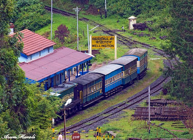 குன்னூர் மலை பகுதியில் ரயில் பாதைக்காக பாறைகள் வெடிவைத்து அகற்றம்! வன உயிர் ஆர்வலர்கள் எதிர்ப்பு!! 29