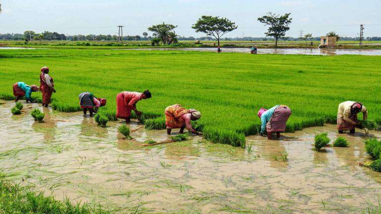 வேளாண் உதவி தொகை நிதியில் 20% குறைப்பு! 17