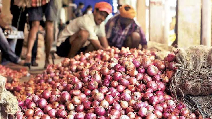 வெங்காயம் உற்பத்தி அதிகரிக்கும் 35