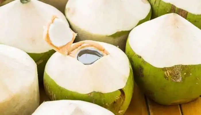 வெயில் காலங்களில் நம் உடலுக்கு குளிர்ச்சியை கொடுக்க கூடிய பானங்கள். 9
