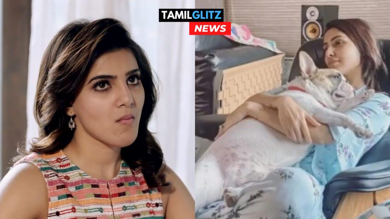 “நீ நாயுடன் தான் சாக போற”!! ரசிகரின் திமிருக்கு செக் வைத்த சமந்தா!!! 73