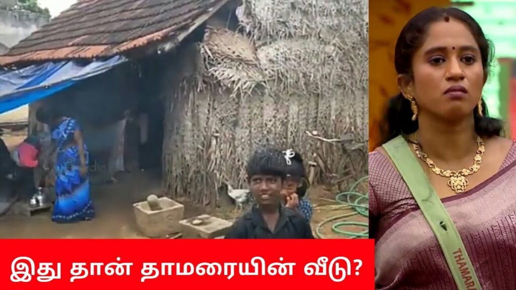 தாமரை செல்வி அம்மாவுக்கு புது வீடு கட்டிக்கொடுக்கும் ஜேம்ஸ் வசந்தன் | Thamarai Selvi 3