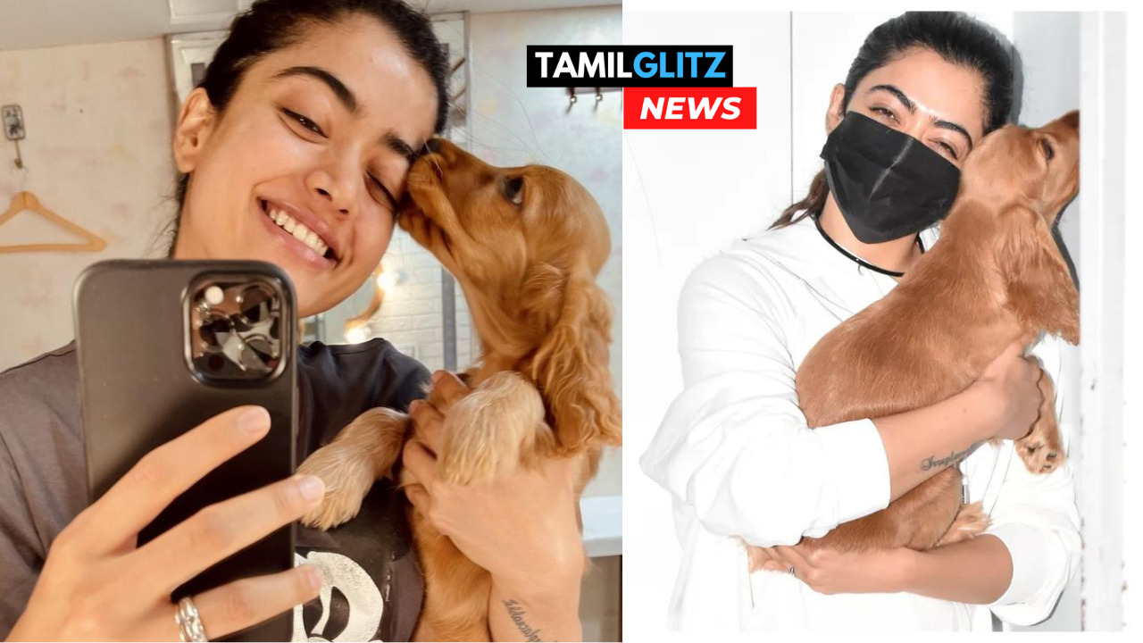 "எது நாய்க்கும் டிக்கெட் எடுத்து கொடுக்கணுமா?"!!"செய்தி வெளியிட்ட ஊடகம்"!!தந்திரமாக பழி தீர்த்து கொண்ட ரஷ்மிகா மந்தனா"!! 217