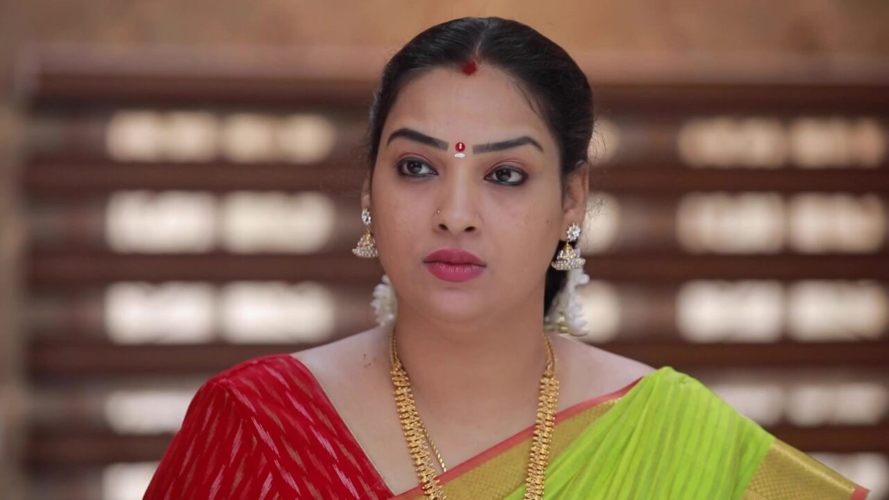 பான்பராக் போட சொன்னார்கள்.. சேலையை கழட்ட சொன்னார்கள்.. சிங்கம் படத்தில் நடிக்கும் போது மெட்டி ஒலி லீலாவுக்கு நடந்த சோகம் 3