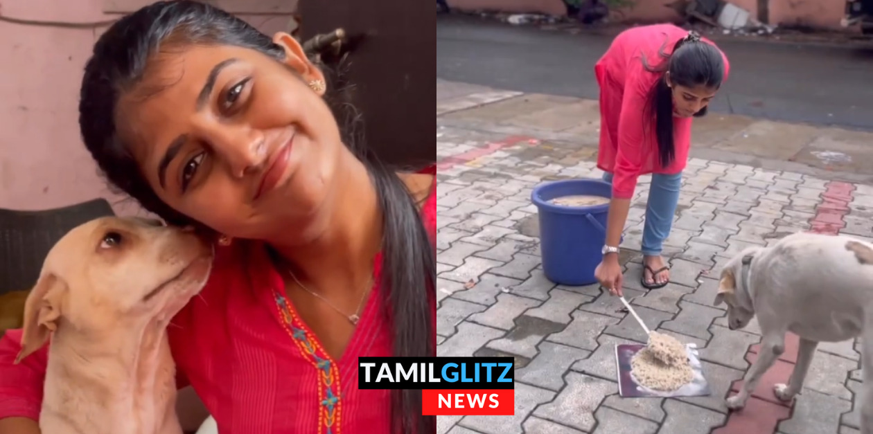 மழைக் காலங்களில் உணவு இல்லாமல் கஷ்டப்படும் தெரு நாய்கள், கேபி செய்த செயல் 23