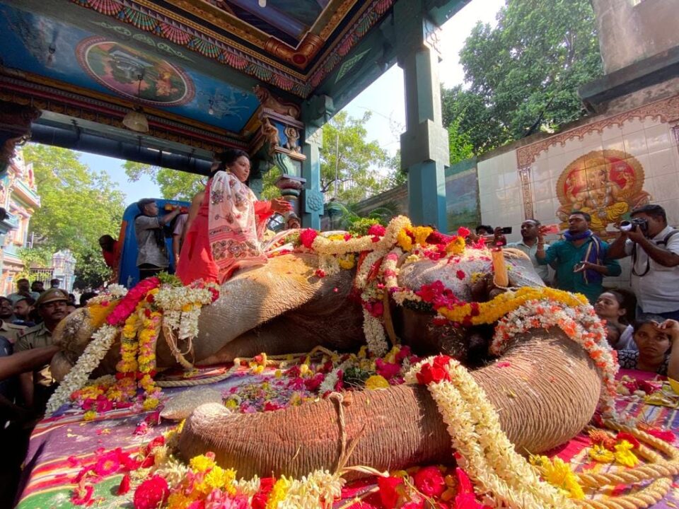துடிதுடித்து இறந்த புதுச்சேரி யானை.! லட்சுமியின் கடைசி நிமிடங்கள்.! கலங்க வைக்கும் CCTV காட்சிகள்.! 3