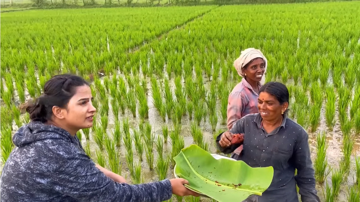 வயல்வெளியில் காடை பொறித்து விவசாய வேலை பார்ப்பவர்களுக்கு விருந்து வைத்த கனிகா.! 5