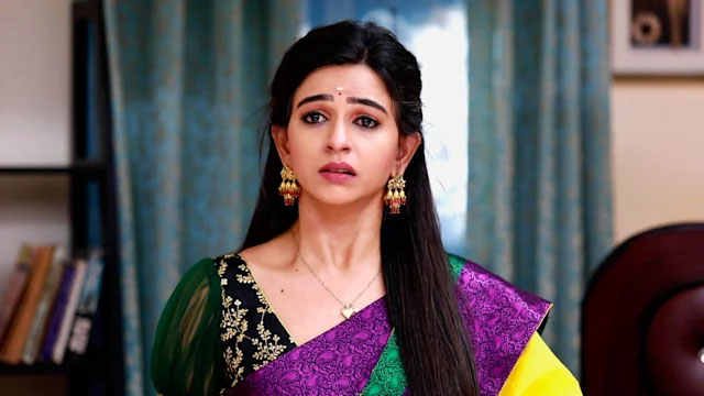 விஜய் டிவி சீரியலில் இருந்து அதிரடியாக விலகிய திவ்யா கணேஷ்.! இதுதான் காரணமா? 3