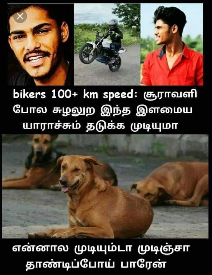 ச்சை.! சில்ற தனமா கேள்வி கேக்குறான்.! லைவ் வீடியோவில் கதறிய TTF.! வச்சி செய்யும் நெட்டிசன்கள்.! 3