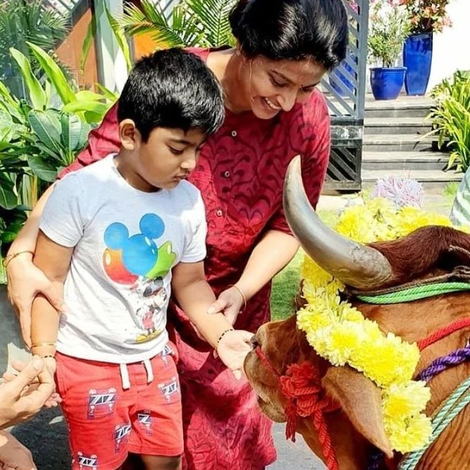 பசுவுக்கு உணவு கொடுத்து மாட்டு பொங்கலை கொண்டாடிய சினேகா பிரசன்னா தம்பதிகள்.! Cute Photos 3