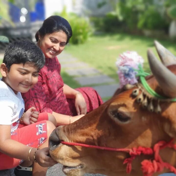 பசுவுக்கு உணவு கொடுத்து மாட்டு பொங்கலை கொண்டாடிய சினேகா பிரசன்னா தம்பதிகள்.! Cute Photos 9