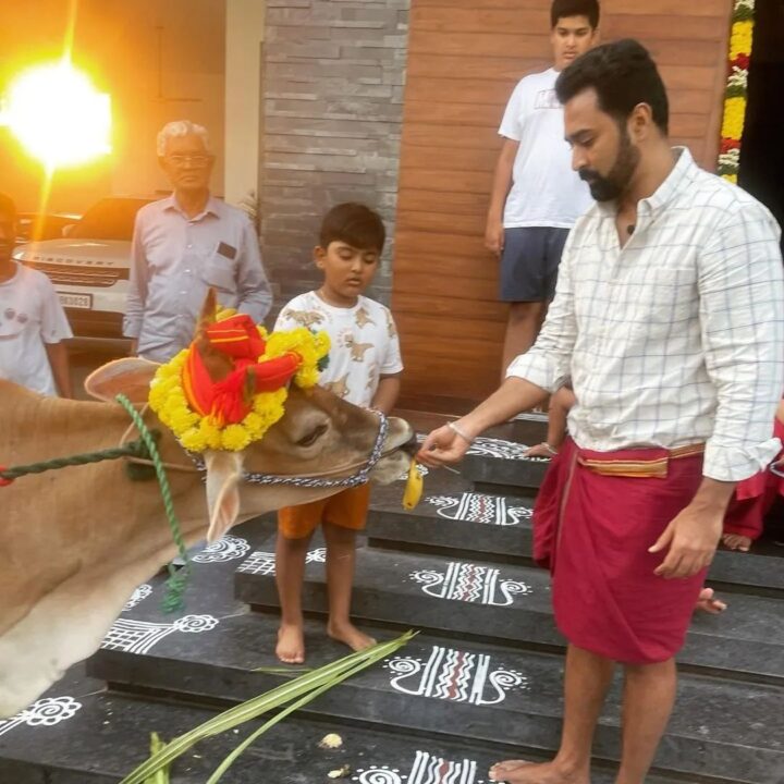 பசுவுக்கு உணவு கொடுத்து மாட்டு பொங்கலை கொண்டாடிய சினேகா பிரசன்னா தம்பதிகள்.! Cute Photos 15