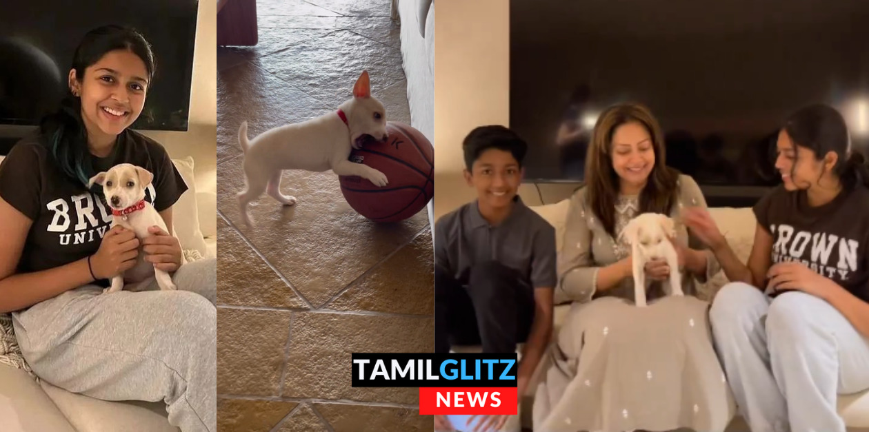 அயோ இந்த நாய் குட்டி என்ன இவளோ சேட்டை பண்ணுது.! ஜோதிகா வெளியிட்ட Cute வீடியோ.! 27