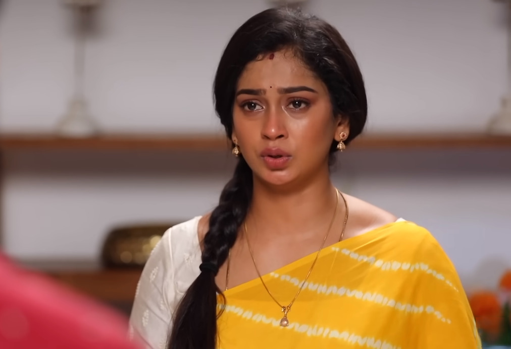 சீரியல் முடியப் போகிறதா.? பிரியா வெளியேறுகிறாரா.? ஸ்வாதி போட்ட பதிவால் குழப்பத்தில் ரசிகர்கள் 3