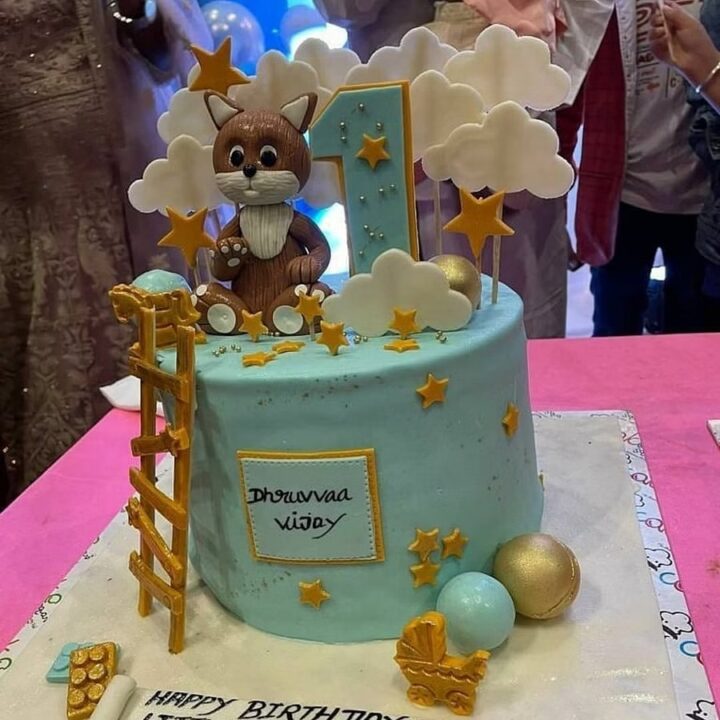 இயக்குனர் ஏ.எல் விஜய் மகனின் பிறந்தநாள் கொண்டாட்ட புகைப்படங்கள்.! ஆல்பம் இதோ.! 5