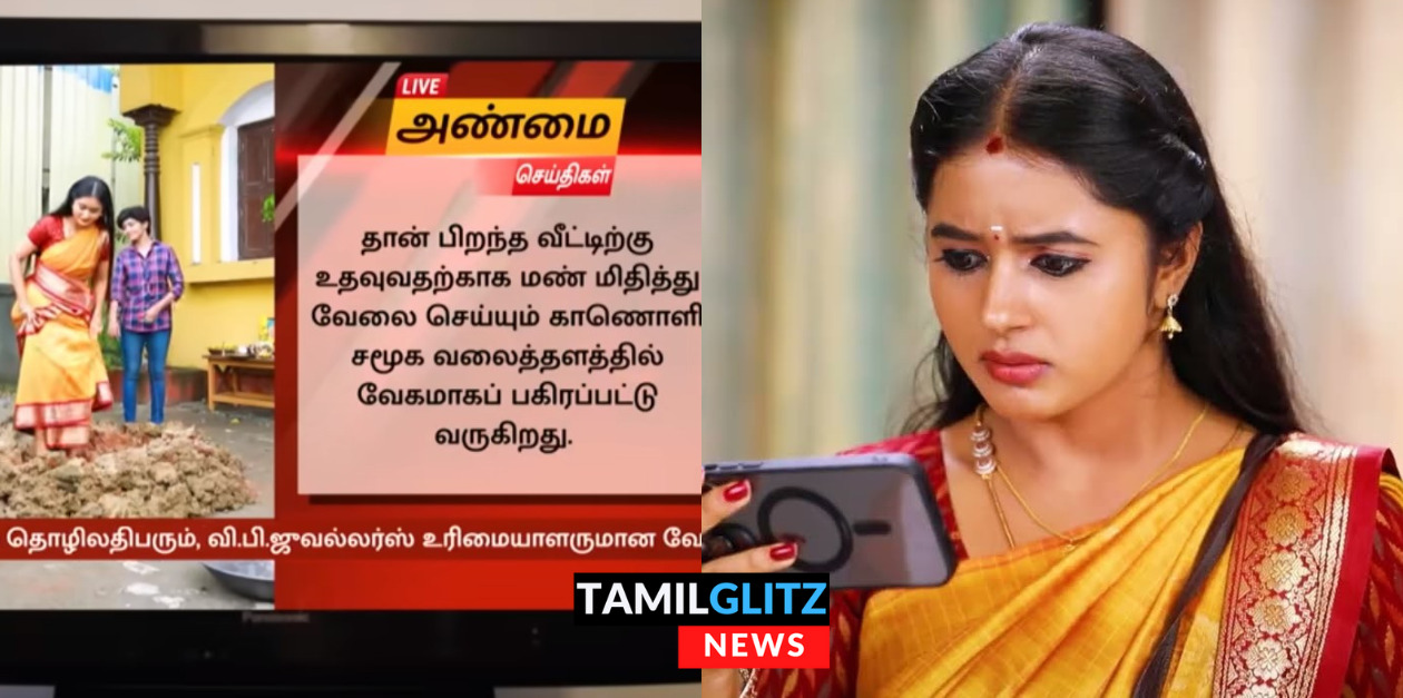 அப்பாவுக்கு உதவி செய்ய பொம்மை தொழிலில் இறங்கிய மஹா.! வீடியோ எடுத்து வெளியிட்ட விஷமிகள்.! 59