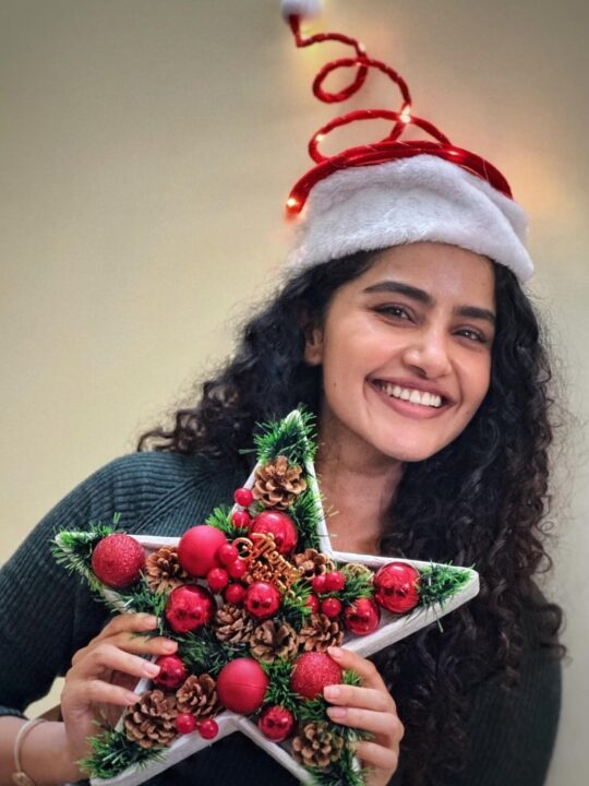 கிறிஸ்துமஸை கொண்டாடி தீர்த்த தமிழ் திரைப் பிரபலங்கள்.! வெளியான அழகிய புகைப்படங்கள் இதோ.! 11