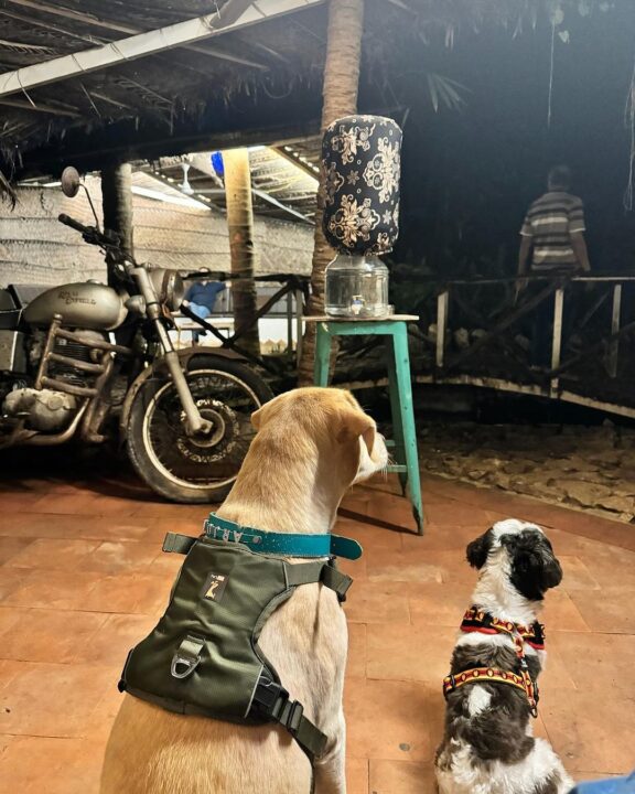 பெற்றோர்களின் பிறந்தநாளை கேரளாவில் வைத்து குடும்பத்துடன் கொண்டாடிய கீர்த்தி சுரேஷ்.! 13