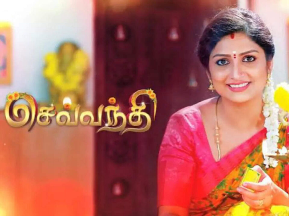 மக்களிடம் சுத்தமாக வரவேற்பு பெறாத 3 சீரியல்கள்.! அதிரடியாக முடிக்கும் சன் டிவி.! 5