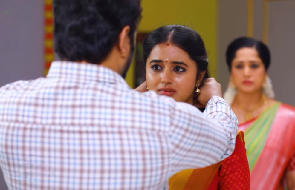மஹாவால் தான் இந்த ஆர்டர் கிடைச்சுது.! மஹாவுக்கு கிப்ட் வாங்கி வந்த சூர்யா.! வேற லெவல் சம்பவம்.! 3