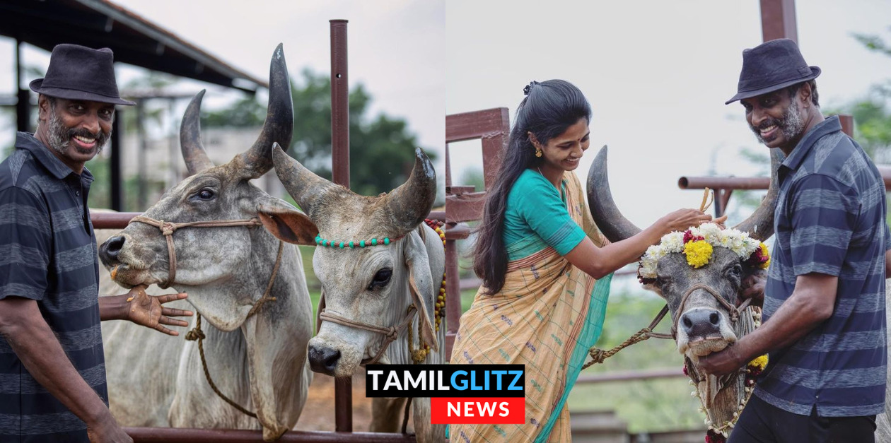 திருநெல்வேலி பண்ணை வீட்டில் மாட்டுப் பொங்கலை கொண்டாடிய அருண் பாண்டியன் - கீர்த்தி பாண்டியன் 103