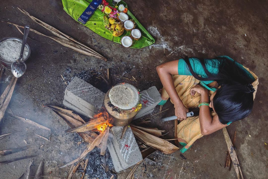 திருநெல்வேலி பண்ணை வீட்டில் மாட்டுப் பொங்கலை கொண்டாடிய அருண் பாண்டியன் - கீர்த்தி பாண்டியன் 13