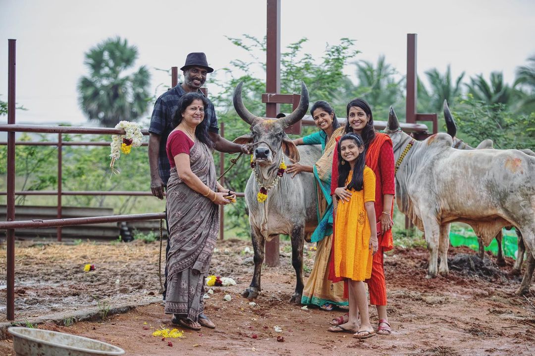 திருநெல்வேலி பண்ணை வீட்டில் மாட்டுப் பொங்கலை கொண்டாடிய அருண் பாண்டியன் - கீர்த்தி பாண்டியன் 9