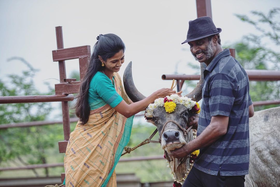 திருநெல்வேலி பண்ணை வீட்டில் மாட்டுப் பொங்கலை கொண்டாடிய அருண் பாண்டியன் - கீர்த்தி பாண்டியன் 7