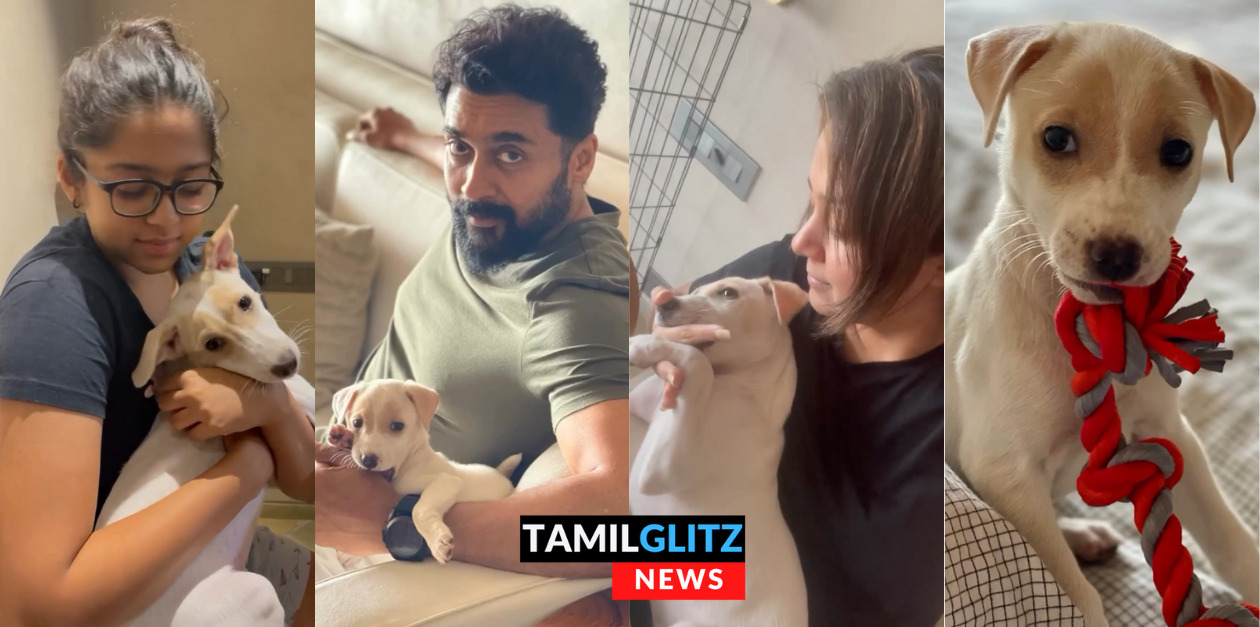 நாய் குட்டி ஒன்றை வாங்கி தனது மகளுக்கு பரிசளித்த சூர்யா - ஜோதிகா தம்பதிகள்.! ஜோ வெளியிட்ட Cute வீடியோ.! 85