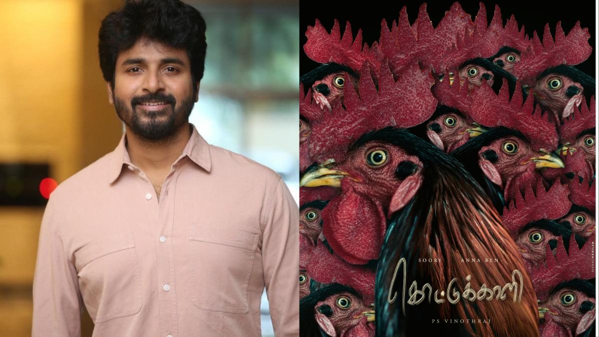 சாதனையா? சோதனையா? கொட்டுக்காளி படத்தின் முழு வசூல் விபரம் இதோ..! 3