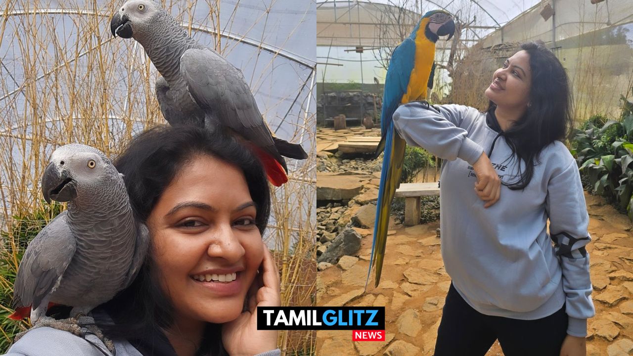 பறவைகளை கொஞ்சி விளையாடிய சரவணன் மீனாட்சி சீரியல் நடிகை ரட்சிதா மஹாலக்ஷ்மி..! 85