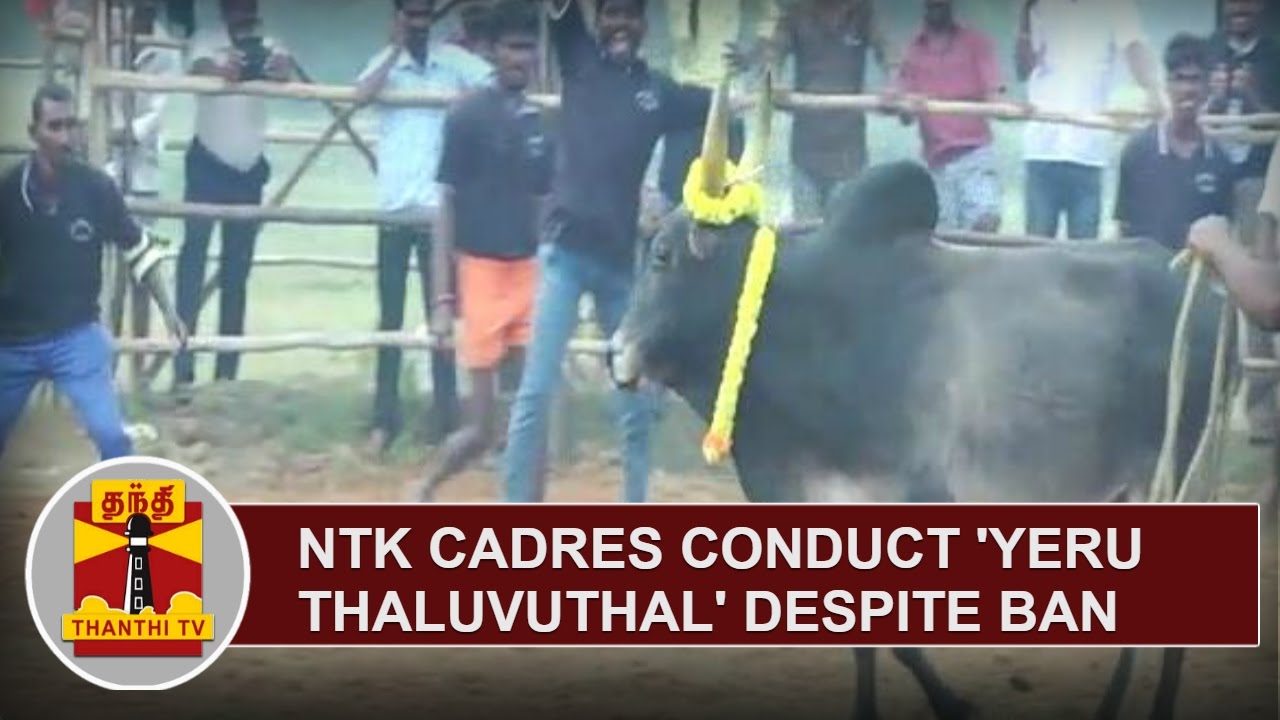 EXCLUSIVE | NTK Cadres conduct 