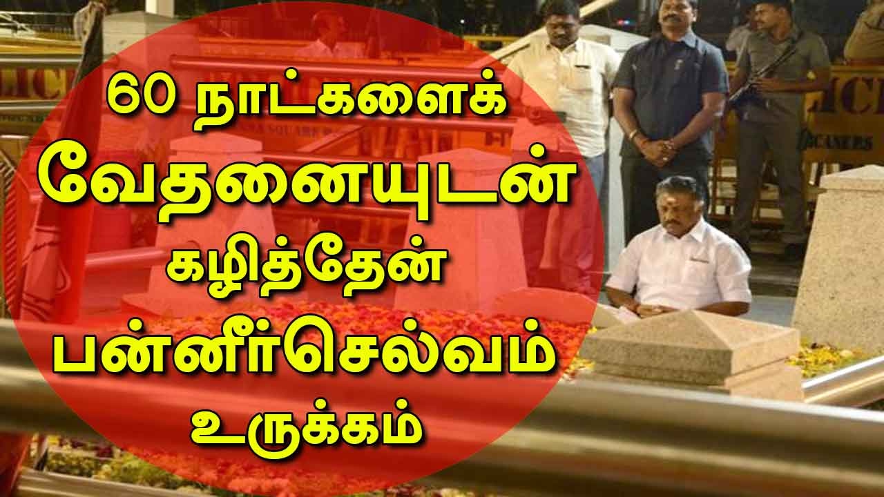 Exclusive: O Panneerselvam Speaks on his Allegations against VK Sasikala  | Puthiya Thalaimurai TV