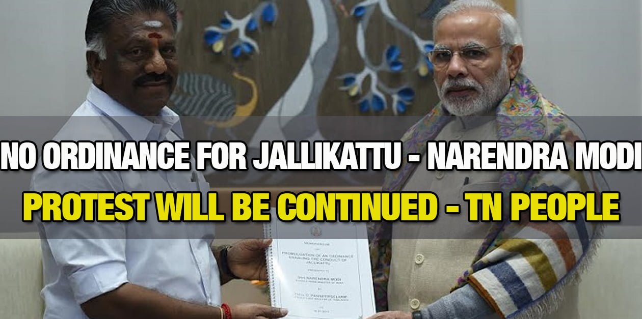 No Ordinance for Jallikattu - Narendra Modi 1