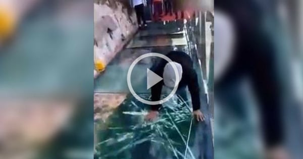 China Glass Bridge Crack - Viral Video 22