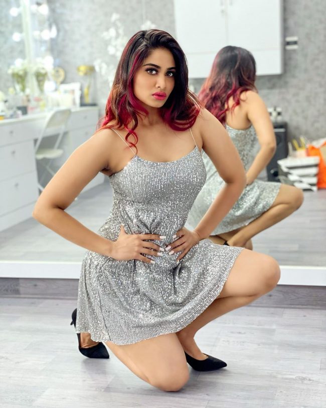 Shivani Narayanan Photos in Silver Short Skirt